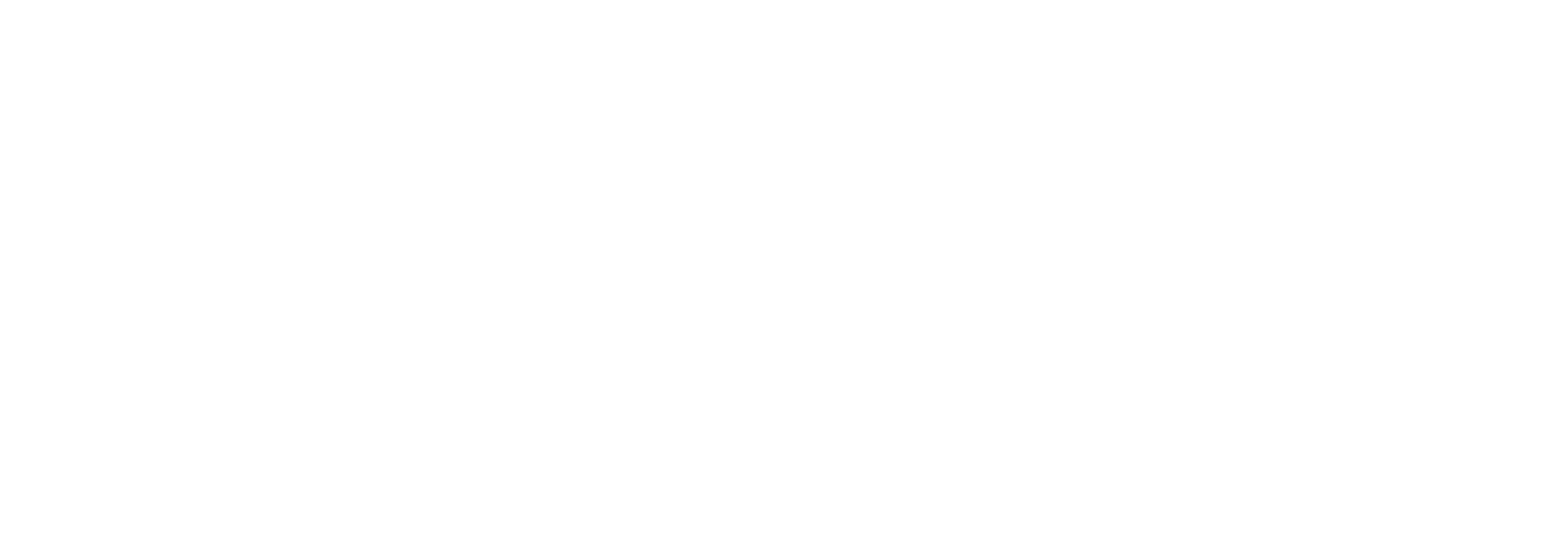 MX COMMERCIAL LOGO RGB WHITE