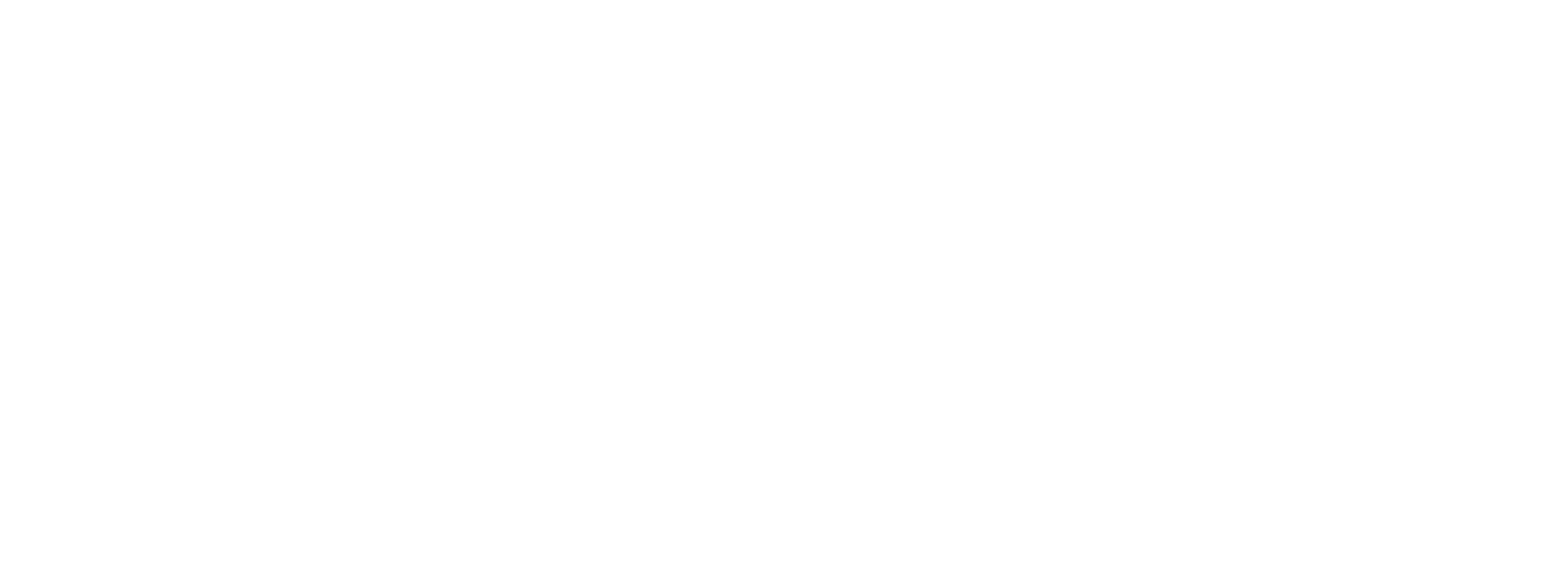 MX LOGO RGB WHITE-1