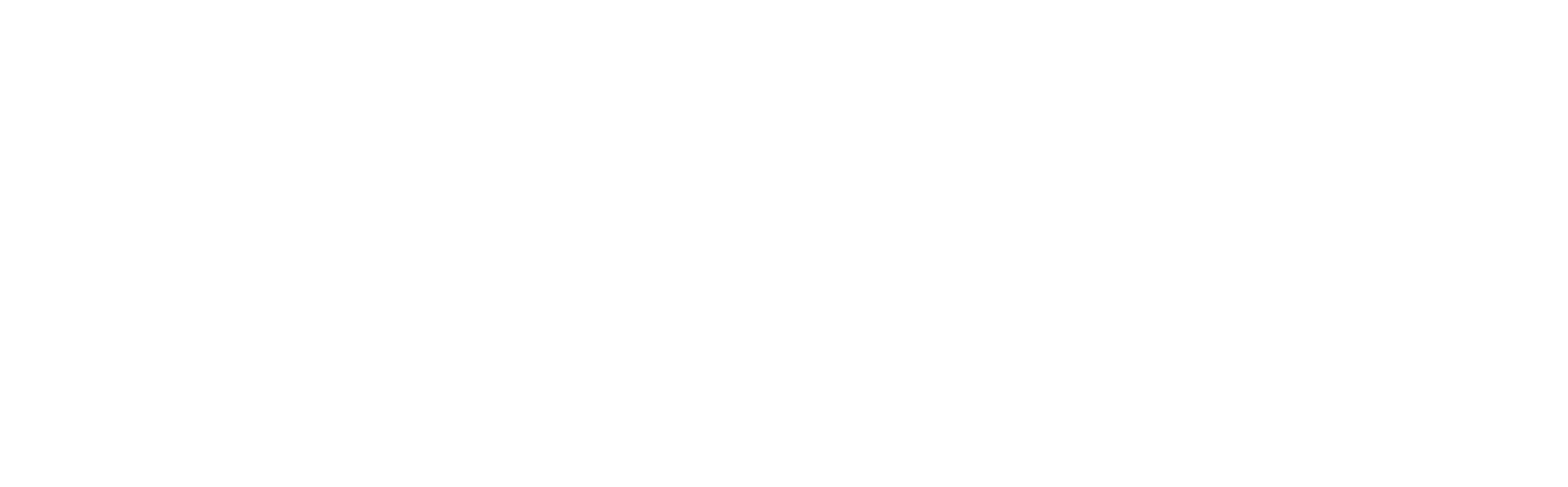 MX RISK SOLUTIONS LOGO CMYK WHITE